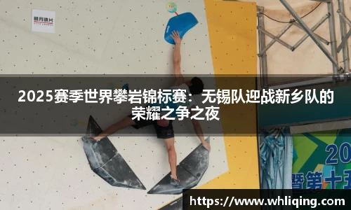 2025赛季世界攀岩锦标赛：无锡队迎战新乡队的荣耀之争之夜
